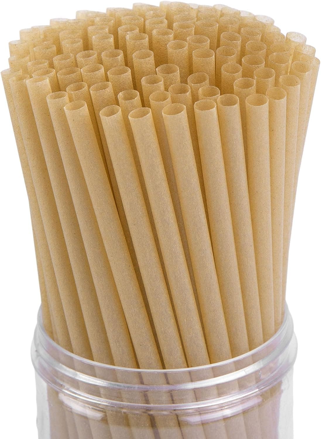 HANSGO Sugarcane Straws, 200 count